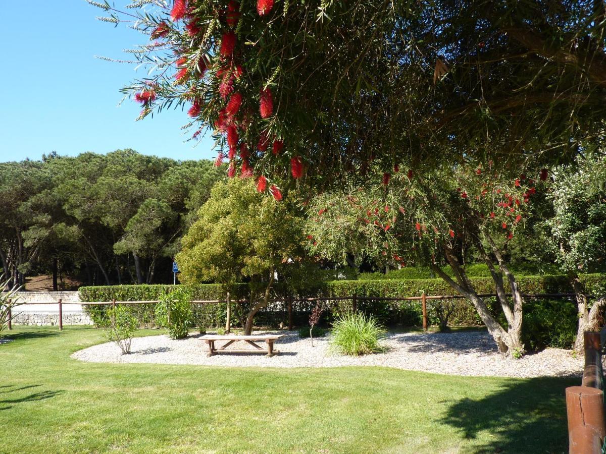 Apartamento Moura - Praia D'El Rey Golf, Surf & Beach Resort Praia del Rei Kültér fotó